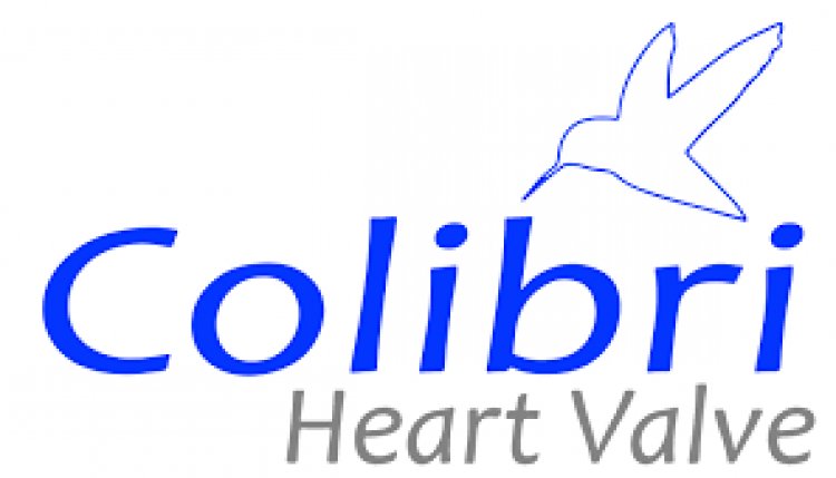 Colibri Heart Valve LLC